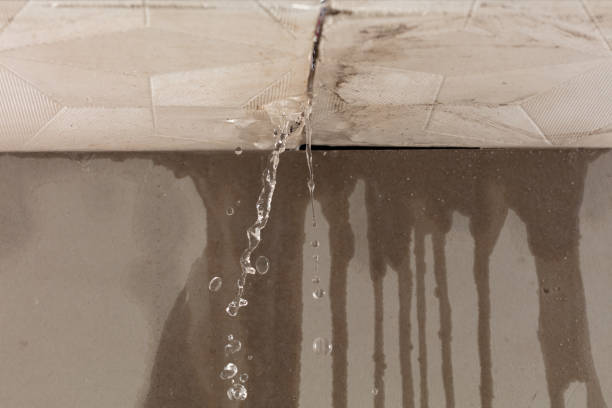 Professional Water Damage Inspection technician working in Lewisville, IN